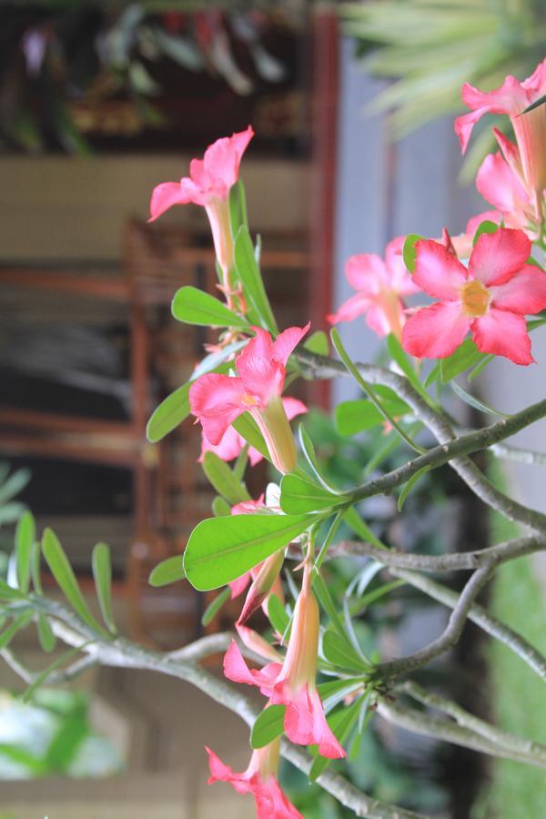 Secret Garden Sky Hotel Ubud  Bagian luar foto